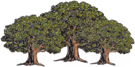 Three Oaks Behavioral Health